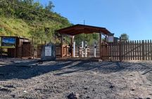 Private Half-Day Sightseeing Tour of Vesuvius National Park