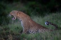 3-Day Serengeti NP & Ngorongoro Crater Safari