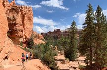 Private Tour: 7-Day Highlight Tour of Southwest Mighty Five