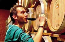 Wine Tasting and Carriage Tour at Premium Winery at Valle de Guadalupe