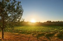 Private Barrel Hall Wine Tasting in the Margaret River Region