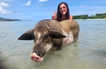 Pigs Island exclusive Semi VIP
