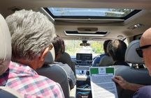 Sea Cliff Bridge, Kiama Blowhole, Beaches & Farmlands Small Group