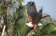St Lucia day Tour - Isimangaliso wetland park