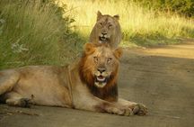 3 Days Durban Safari Tour Package