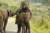 3 Days Durban Safari Tour Package