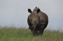 Mini Safari and Zulu Cultural experience - Day Tour