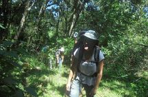 4 Days Mount Meru Climbing | Hiking | Trekking Tour