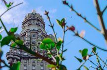 Discover the Best of Montevideo with a Local Expert! 