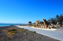Napier E-bike Hire