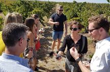 Micro-Group Barossa Valley Wine Tour from Adelaide