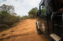 Kumana National Park Half Day Jeep Safari 