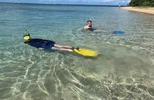 All Day Snorkeling Gear Rental in Puerto Rico