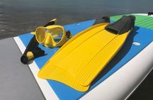 All Day Snorkeling Gear Rental in Puerto Rico