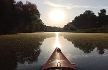 Great War Island Kayak Adventure