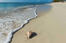 Day At The Beach With Lunch And Drinks for Cruise Guests