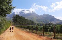 Stellenbosch Vineyard Walk & Wine Tasting 