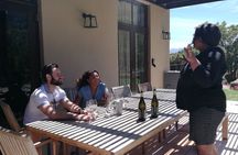 Stellenbosch Vineyard Walk & Wine Tasting 