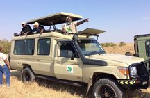 Nairobi National Park Half-Day Tour; Free Wi-Fi connection