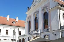 Private Sissi Castle Tour
