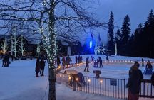 Vancouver to Whistler Tour Private
