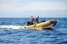 Diving for beginners by boat from Puerto Colon