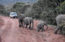 3 days group joining safari to Maasai Mara with a Land Cruiser Jeep