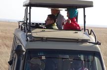 3 days group joining safari to Maasai Mara with a Land Cruiser Jeep