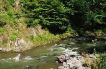 Tbilisi-Kutaisi-Batumi Tour in Georgia 8 Days/7 Nights