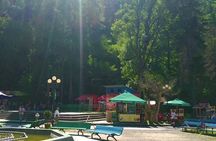 Borjomi Tour from Tbilisi with Bakuriani Resort and Soviet Train Ride