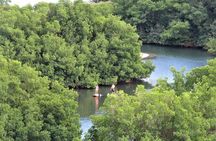 Stand Up Paddle Adventure in Guadeloupe