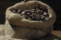 Private Dark Chocolate Tasting Tour in Paris