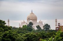 7-Day Private Golden Triangle Tour - Forts Palaces and Wildlife Sanctuary