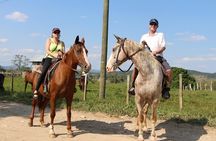 7:30am Jungle Farm trail Ride plus Xunantunich adventure