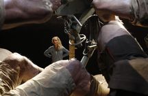 Museum of New Zealand Te Papa: Gallipoli Exhibition Guided Tour