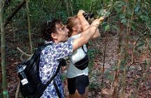 Birdwatching: Desaru's Winged Gems