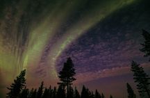 Northern Lights Tour with BBQ and drinks