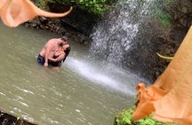 Private St Lucia Cruise Ship Excursion