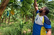 Private Northern Saint Lucia Tour