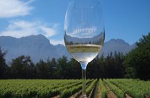  Private Zesty White Wine Tour 