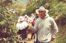 Private Coffee Tour in Colombia