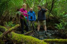 Bruny Island Traveller - Gourmet Tasting and Sightseeing Day Trip from Hobart