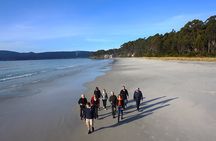 Bruny Island Traveller - Gourmet Tasting and Sightseeing Day Trip from Hobart