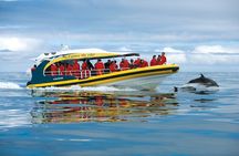 Tasman Island Cruises and Port Arthur Historic Site Day Tour from Hobart