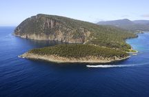 3-Hour Bruny Island Cruise from Adventure Bay, Bruny Island