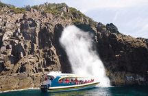 3-Hour Bruny Island Cruise from Adventure Bay, Bruny Island
