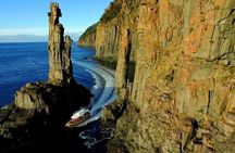 3-Hour Bruny Island Cruise from Adventure Bay, Bruny Island
