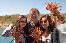 Tasmanian Seafood Gourmet Full-Day Cruise Including Lunch