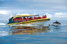 3-Hour Tasman Peninsula Wilderness Cruise from Port Arthur