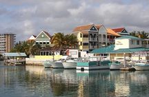 Freeport Shore Excursion: Garden of the Groves and City Tour